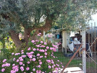 Οικόπεδο 326 τ.μ. για πώληση, Αχαΐα, Πάτρα-thumb-11