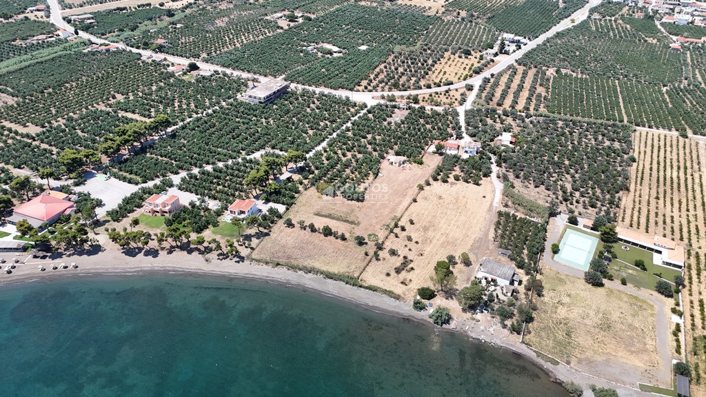 Αγροτεμάχια 5.747 τ.μ. προς πώληση, Θερμησία