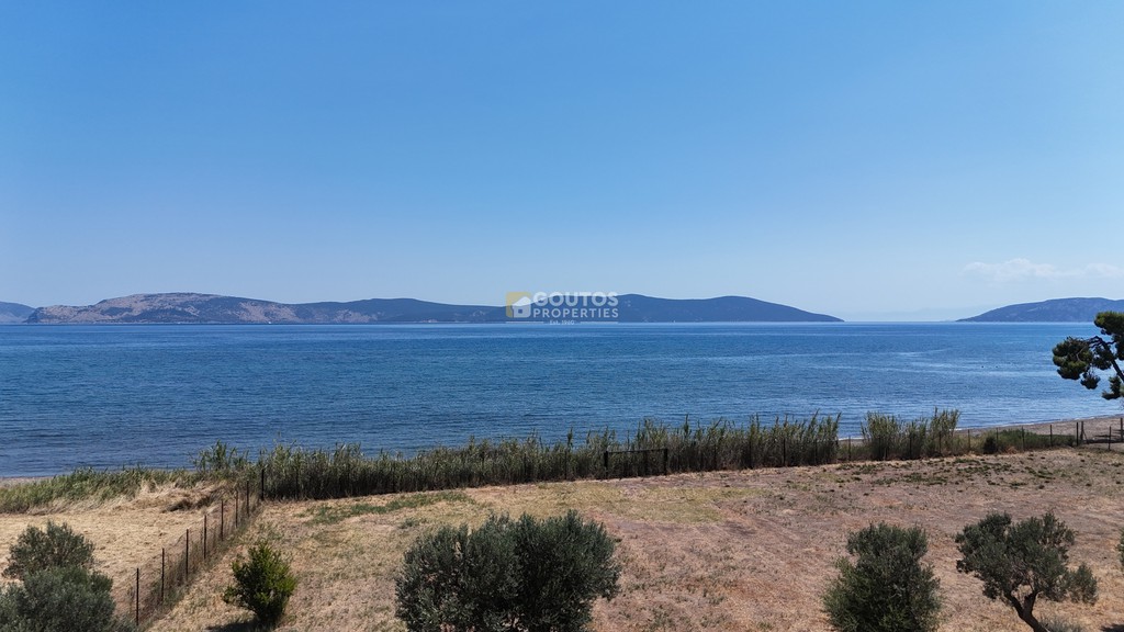 Αγροτεμάχια 5.747 τ.μ. προς πώληση, Θερμησία