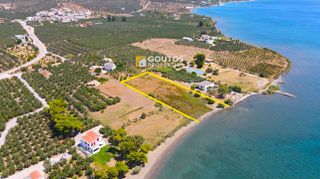 Αγροτεμάχια 5.747 τ.μ. για πώληση