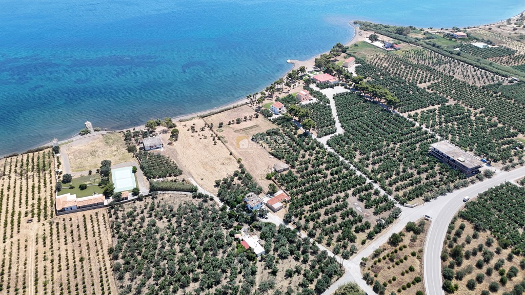 Αγροτεμάχια 5.747 τ.μ. προς πώληση, Θερμησία