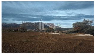 Οικόπεδο 733 τ.μ. για πώληση, Κορινθία, Ξυλόκαστρο-thumb-1