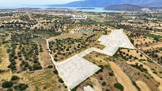 Οικόπεδο 36.000 τ.μ. για πώληση