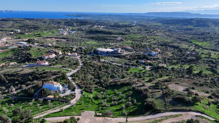 Parcel 6.000 sqm for sale, Argolis, Kranidi