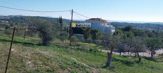 Αγροτεμάχια 6.000 τ.μ. για πώληση, Αργολίδα, Κρανίδι-thumb-9