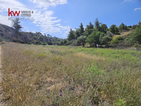 Αγροτεμάχια 44.814τ.μ. για πώληση-Μέγαρα