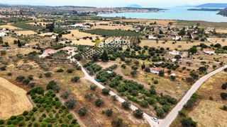 Οικόπεδο 4.035 τ.μ. για πώληση, Αργολίδα, Κρανίδι-thumb-1