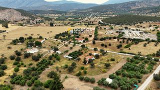Οικόπεδο 4.035 τ.μ. για πώληση, Αργολίδα, Κρανίδι-thumb-10