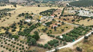 Οικόπεδο 4.035 τ.μ. για πώληση, Αργολίδα, Κρανίδι-thumb-15