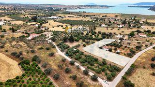 Οικόπεδο 4.035 τ.μ. για πώληση