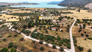 Οικόπεδο 4.035 τ.μ. για πώληση, Αργολίδα, Κρανίδι-thumb-2