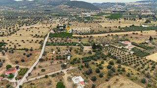 Οικόπεδο 4.035 τ.μ. για πώληση, Αργολίδα, Κρανίδι-thumb-17