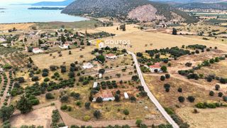 Οικόπεδο 4.035 τ.μ. για πώληση, Αργολίδα, Κρανίδι-thumb-12