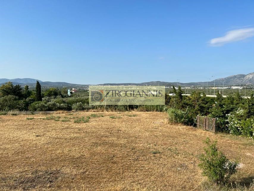 Αγροτεμάχια 20.000 τ.μ. προς ενοικίαση, Αθήνα - Ανατολικά Προάστια, Παιανία