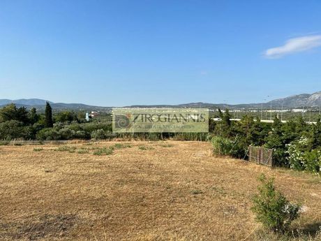 Αγροτεμάχια 20.000τ.μ. για πώληση-Παιανία
