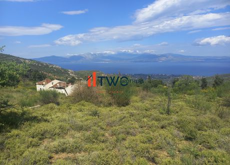 Parcel 2.125sqm for sale-Com. Kapandriti