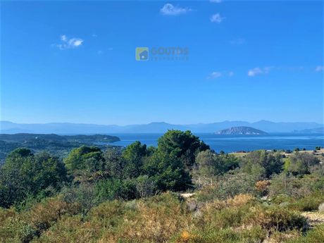 Οικόπεδο 200.000τ.μ. για πώληση-Κρανίδι