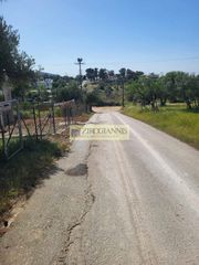 Οικόπεδο 252 τ.μ. για ενοικίαση, Αθήνα - Ανατολικά Προάστια, Παλλήνη-thumb-5