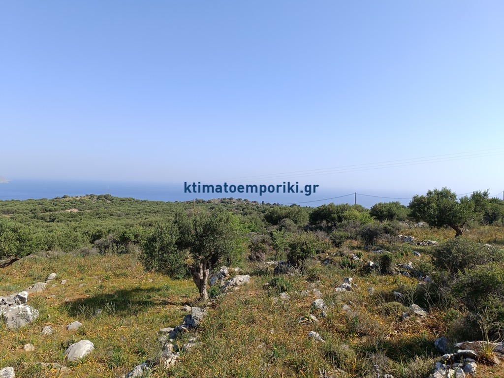 Οικόπεδο 7.066 τ.μ. προς πώληση, Κόκκινο Χωριό