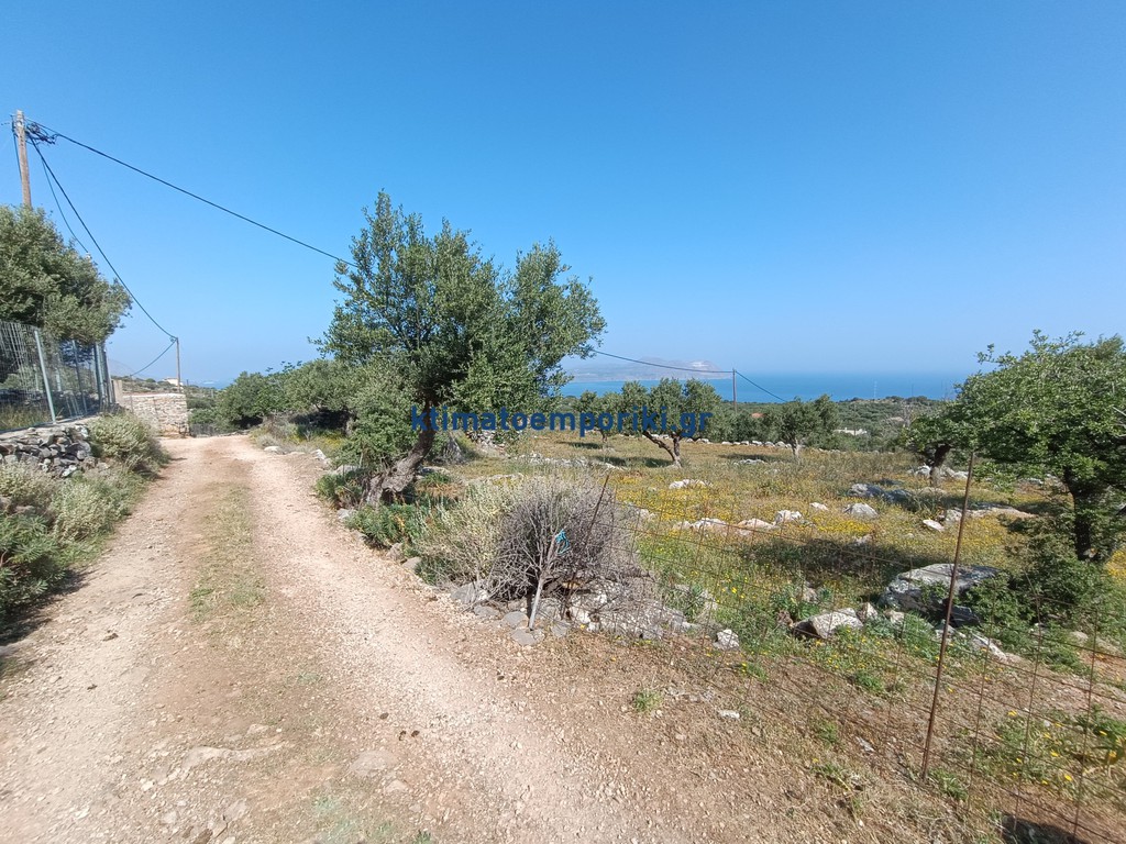 Οικόπεδο 7.066 τ.μ. προς πώληση, Κόκκινο Χωριό