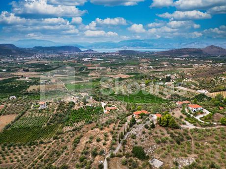 Αγροτεμάχια 4.220τ.μ. για πώληση-Ναύπλιο