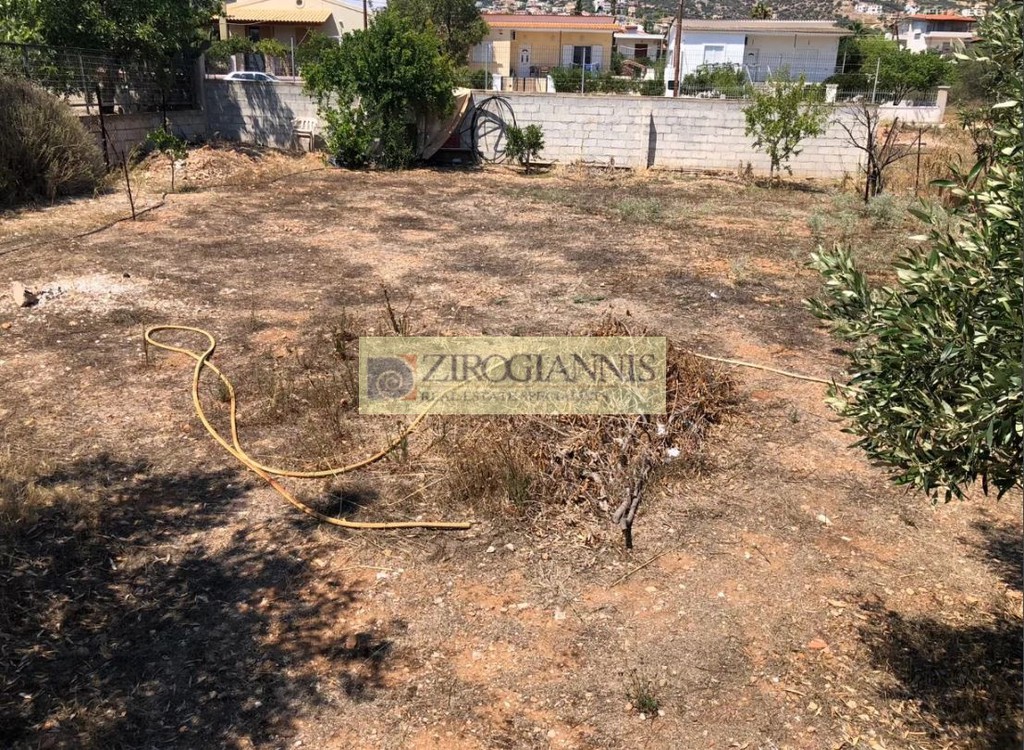 Αγροτεμάχια 300 τ.μ. προς πώληση, Μαύρο Λιθάρι