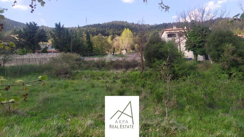Οικόπεδο 1.286 τ.μ. προς πώληση, Γοριανάδες