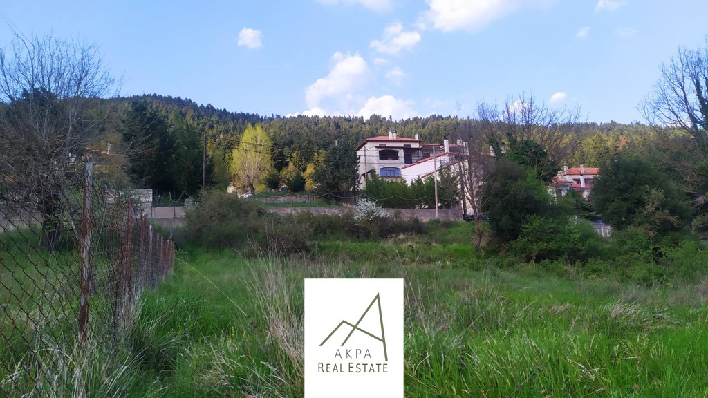 Οικόπεδο 1.286 τ.μ. προς πώληση, Γοριανάδες