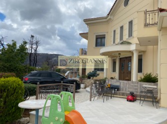 Βίλλα 610 τ.μ. πρός πώληση, Αττική - Υπόλοιπο, Αφίδνες