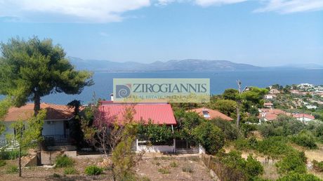 Αγροτεμάχια 1.197τ.μ. για πώληση-Κάλαμος