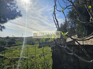 Οικόπεδο 5.000 τ.μ. για πώληση, Αθήνα - Βόρεια Προάστια, Πεντέλη-thumb-1
