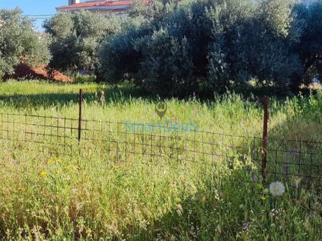 Οικόπεδο 737τ.μ. για πώληση-Χαλάνδρι