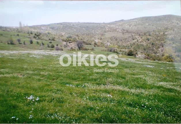 Αγροτεμάχια 4.600 τ.μ. για πώληση, Γρεβενά, Γρεβενά