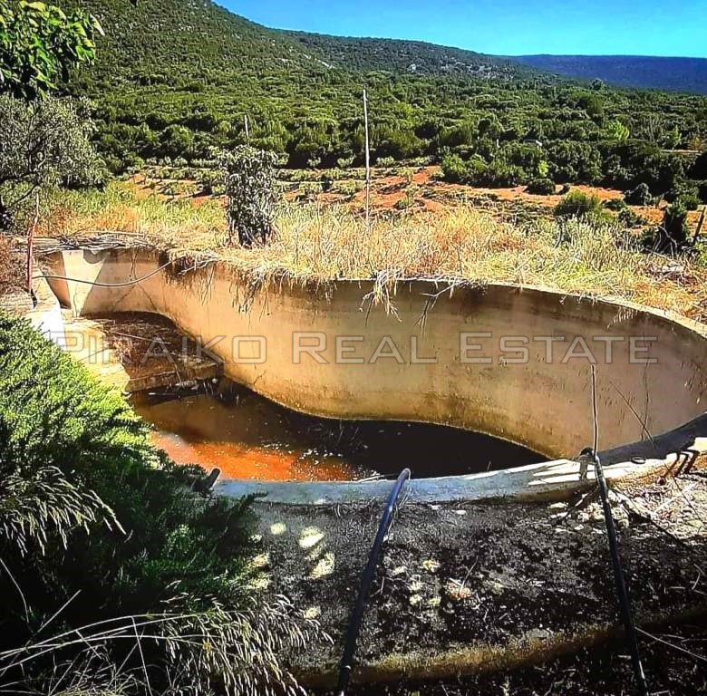 Μονοκατοικία 62,80 τ.μ. προς πώληση, Πελεή