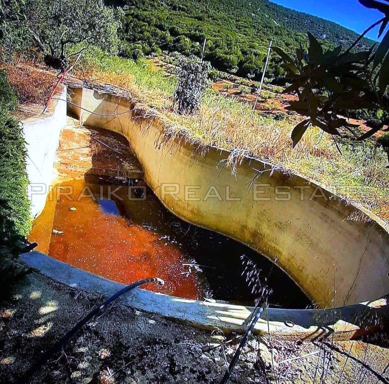 Μονοκατοικία 62,80 τ.μ. προς πώληση, Πελεή