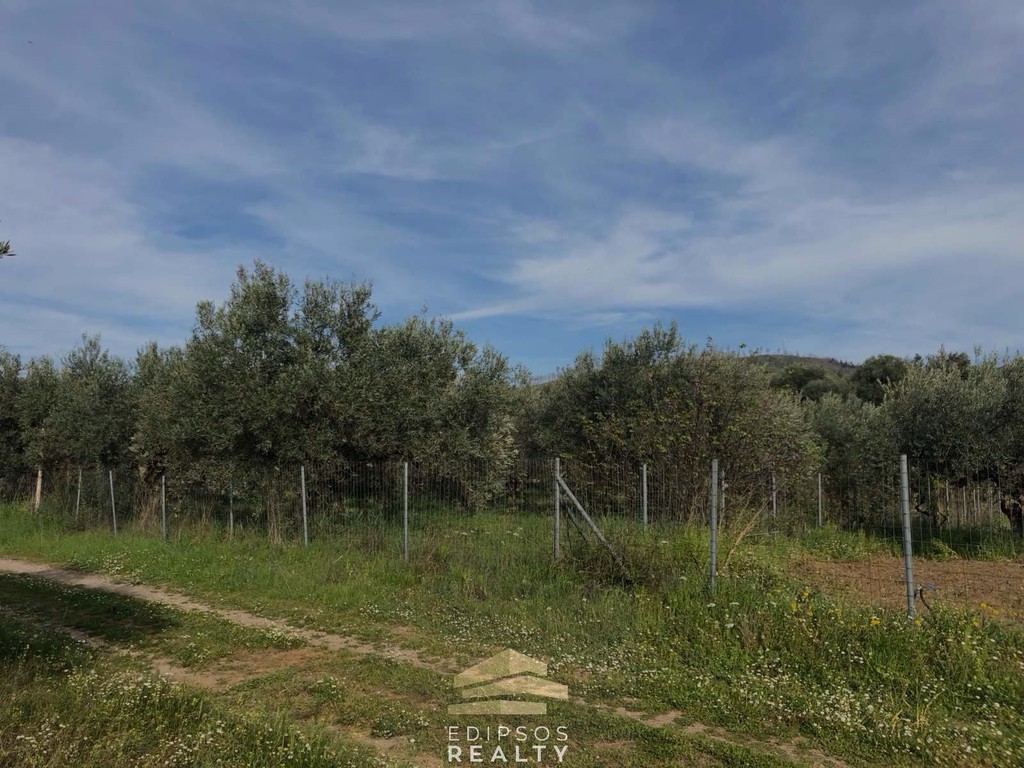 Οικόπεδο 2.886 τ.μ. προς πώληση, Ασμήνιο