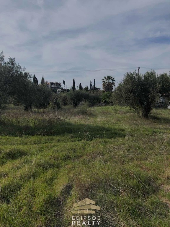 Οικόπεδο 2.886 τ.μ. προς πώληση, Ασμήνιο