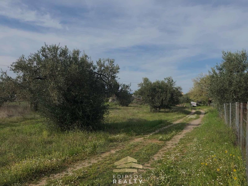 Οικόπεδο 2.886 τ.μ. προς πώληση, Ασμήνιο
