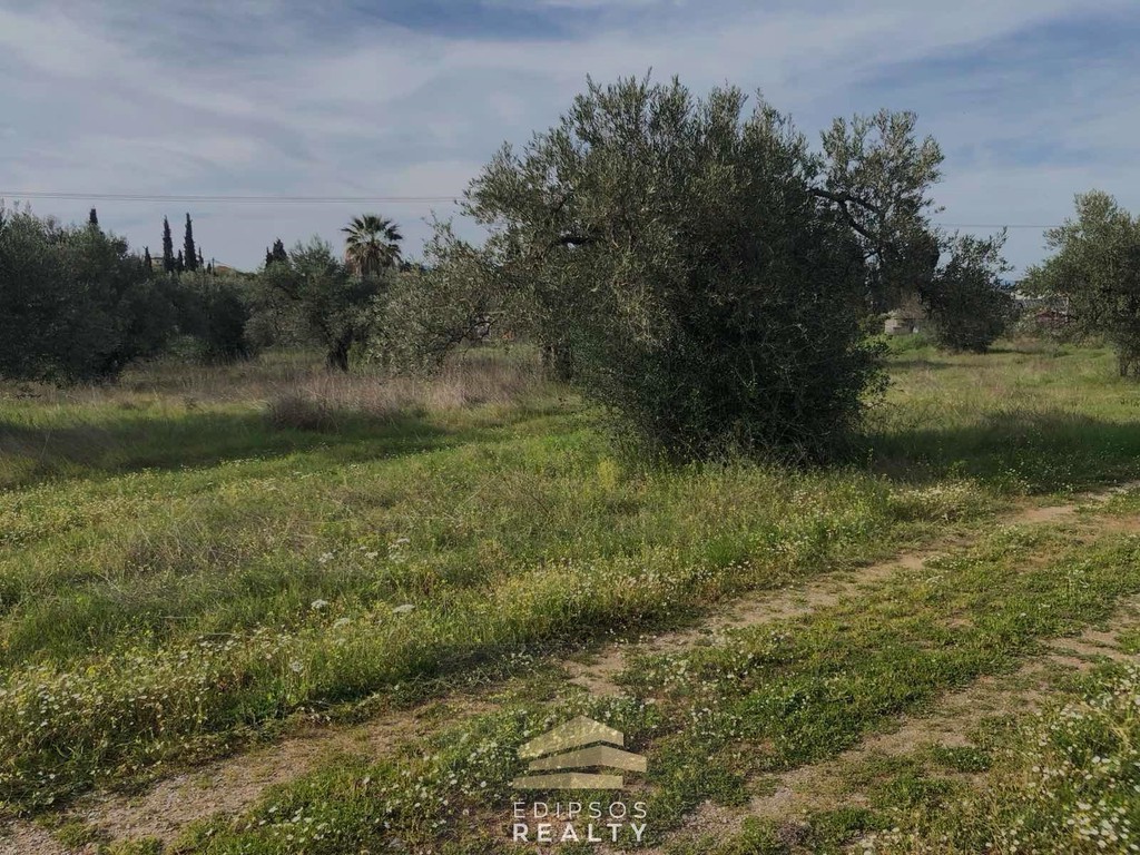 Οικόπεδο 2.886 τ.μ. προς πώληση, Ασμήνιο