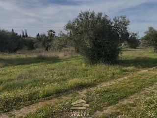 Οικόπεδο 2.886 τ.μ. για πώληση
