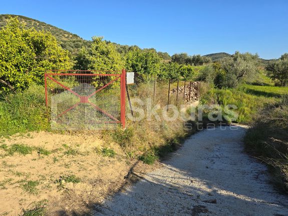 Αγροτεμάχια 11.000 τ.μ. για πώληση, Αργολίδα, Νέα Τίρυνθα