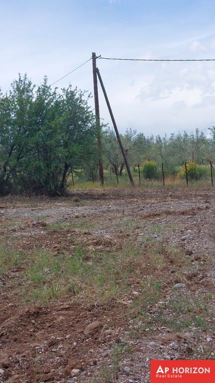 Αγροτεμάχια 4.000 τ.μ. προς πώληση, Φθιώτιδας, Υπάτη