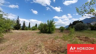 Αγροτεμάχια 4.000 τ.μ. προς πώληση, Φθιώτιδας, Υπάτη-thumb-6