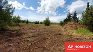 Αγροτεμάχια 4.000 τ.μ. προς πώληση, Φθιώτιδας, Υπάτη-thumb-5