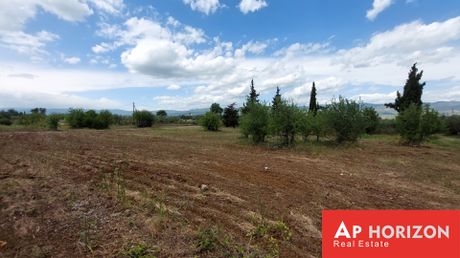 Αγροτεμάχια 4.000τ.μ. για πώληση-Υπάτη