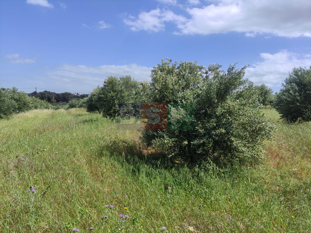 Οικόπεδο 3.288 τ.μ. προς πώληση, Άνω Καλέσια
