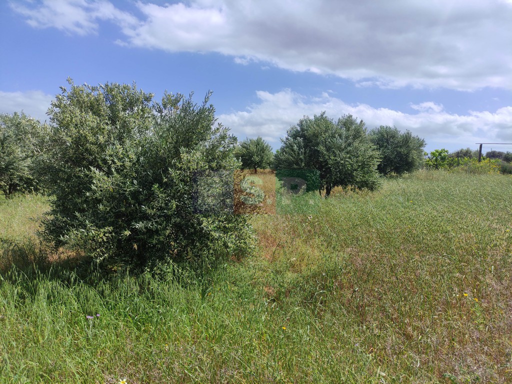 Οικόπεδο 3.288 τ.μ. προς πώληση, Άνω Καλέσια