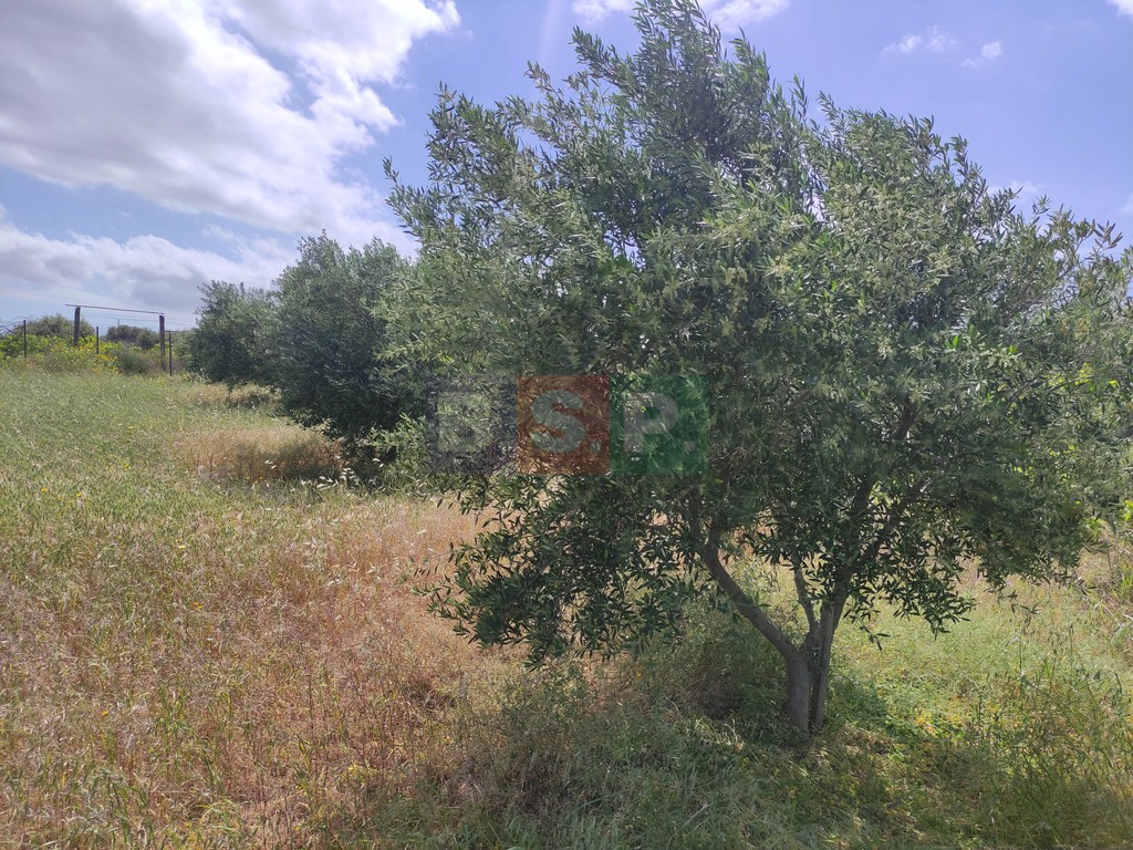 Οικόπεδο 3.288 τ.μ. προς πώληση, Άνω Καλέσια