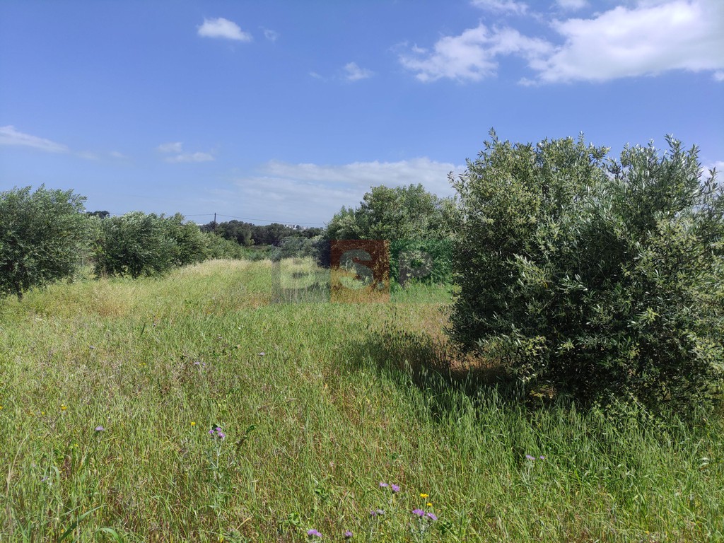 Οικόπεδο 3.288 τ.μ. προς πώληση, Άνω Καλέσια