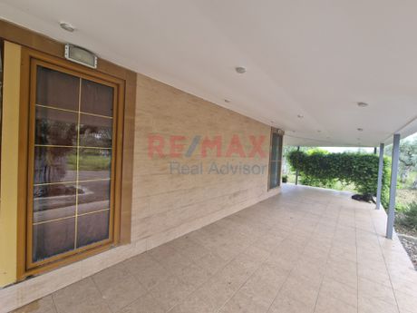 Parcel 21.000sqm for sale-Atalanti